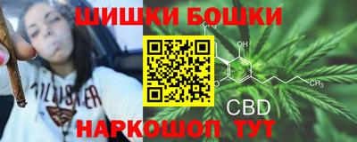 индика Тверь