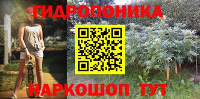 индика Тверь