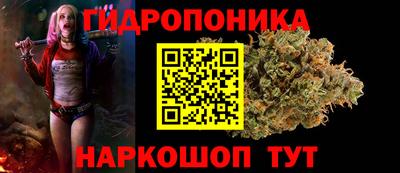 индика Тверь