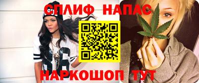 индика Тверь