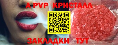 индика Тверь