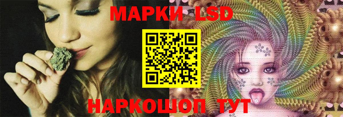Лсд 25 экстази ecstasy  LSD-25 экстази  Новозыбков  Вход с VPN  Лсд 25 экстази ecstasy 