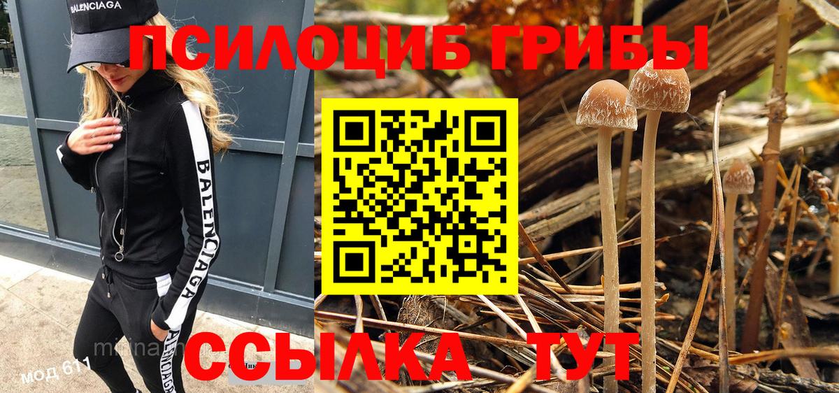 Галлюциногенные грибы мицелий Новозыбков
