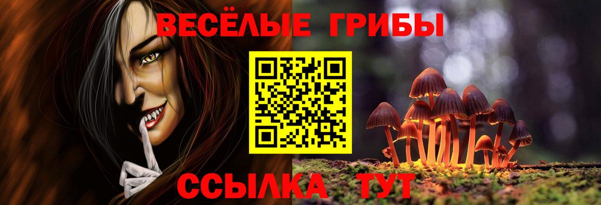 Новозыбков  Галлюциногенные грибы прущие грибы  купить наркотики сайты  Вход с VPN  Псилоцибиновые грибы ЛСД 